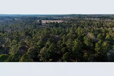 000 Cr 3854, Hawkins, TX 75765 - Photo 25