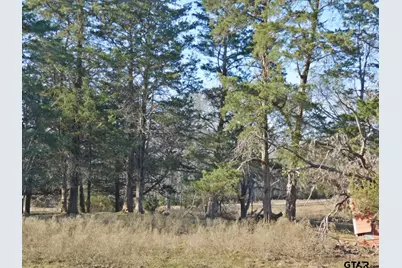 2851 Fm 2088, Quitman, TX 75783 - Photo 11