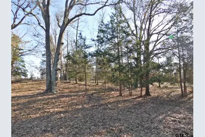 2851 Fm 2088, Quitman, TX 75783 - Photo 29