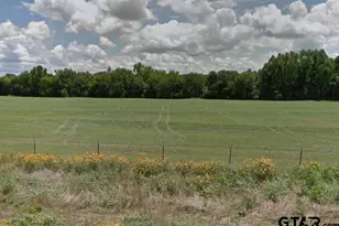 13365 Fm 768, Jacksonville, TX 75766 - Photo 1
