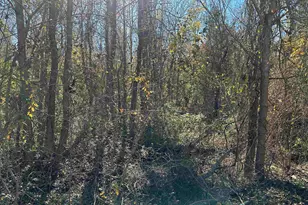 628 Balmorea Dr, Bullard, TX 75757 - Photo 5