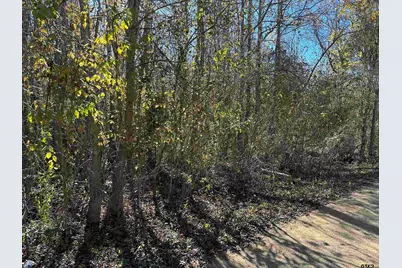 644 Balmorea Drive, Bullard, TX 75757 - Photo 3
