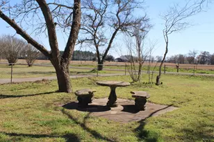 127 Cr 3408, Jacksonville, TX 75766 - Photo 21