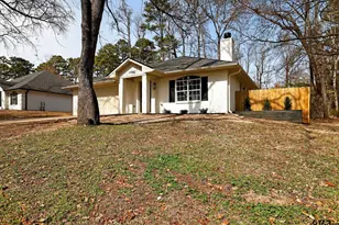 17042 Mary Martin Dr, Flint, TX 75762 - Photo 1