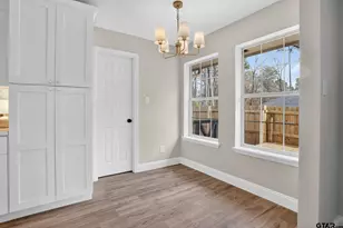 17042 Mary Martin Dr, Flint, TX 75762 - Photo 19