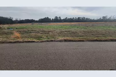 Tbd Lot 52 Southshore, Pittsburg, TX 75686 - Photo 1