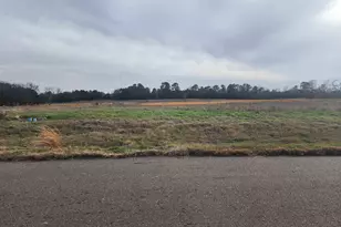 Tbd Lot 52 Southshore, Pittsburg, TX 75686 - Photo 1