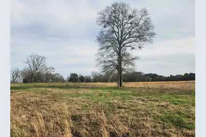 Tbd Lot 52 Southshore, Pittsburg, TX 75686 - Photo 3