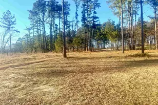 16224 US Hwy 79 E, Jacksonville, TX 75766 - Photo 27