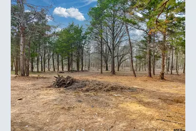 11173 C R 152 W, Bullard, TX 75757 - Photo 41