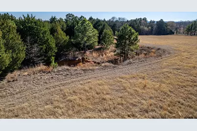 Tbd Fm 2339, Murchison, TX 75778 - Photo 11