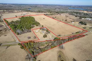 Tbd Fm 2339, Murchison, TX 75778 - Photo 1