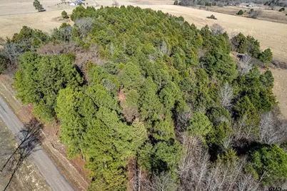 Tbd Fm 2339, Murchison, TX 75778 - Photo 17