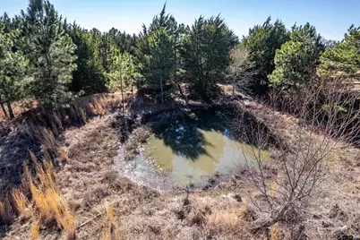 Tbd Fm 2339, Murchison, TX 75778 - Photo 15