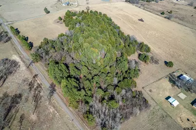 Tbd Fm 2339, Murchison, TX 75778 - Photo 5