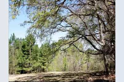 19201 Hwy 110, Whitehouse, TX 75791 - Photo 1