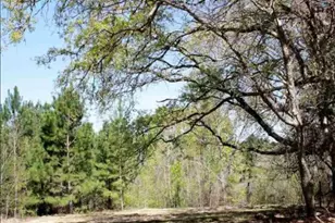 19201 Hwy 110, Whitehouse, TX 75791 - Photo 1