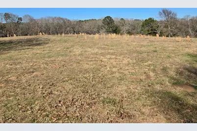 Tbd County Road 1106, Flint, TX 75762 - Photo 13