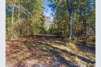Tbd Cr 396, Tyler, TX 75708 - Photo 13