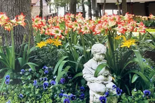 20848 Bay Shore Dr, Flint, TX 75762 - Photo 41