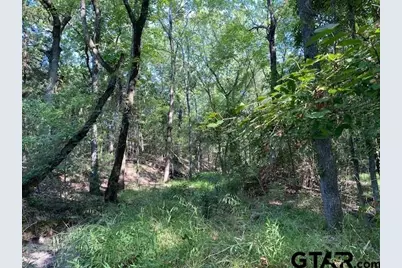 Tr 4-A Cr 41514, Athens, TX 75751 - Photo 1