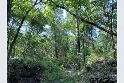 Tr 3-A Cr 41514, Athens, TX 75751 - Photo 3
