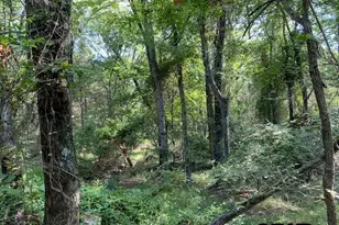 Tr 3-A Cr 41514, Athens, TX 75751 - Photo 1