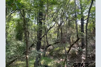 Tr 3-B Cr 41514, Athens, TX 75751 - Photo 1