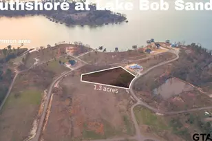 1 31 Acres Lot 48 Southshore, Pittsburg, TX 75686 - Photo 1