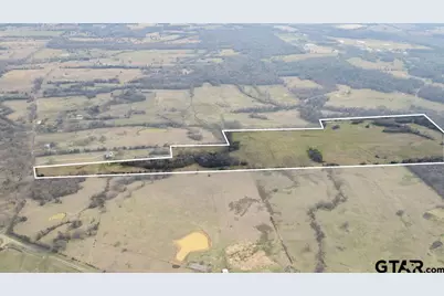83+/- Acres Cr SW 3250, Winnsboro, TX 75494 - Photo 3