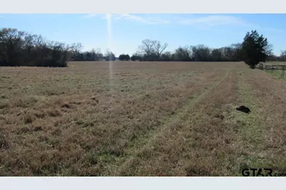 77.95 Ac Hwy 110, Jacksonville, TX 75766 - Photo 7