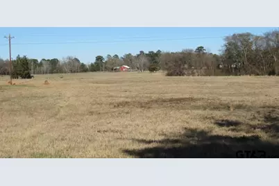 77.95 Ac Hwy 110, Jacksonville, TX 75766 - Photo 19