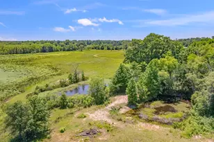 12250 Co Rd 3513, Brownsboro, TX 75756 - Photo 31