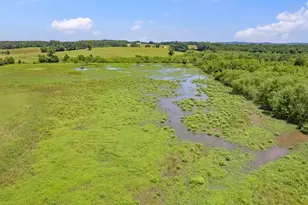 12250 Co Rd 3513, Brownsboro, TX 75756 - Photo 35