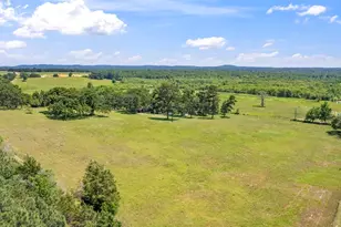 12250 Co Rd 3513, Brownsboro, TX 75756 - Photo 3