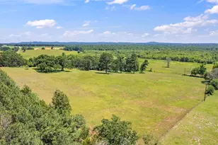 12250 Co Rd 3513, Brownsboro, TX 75756 - Photo 29