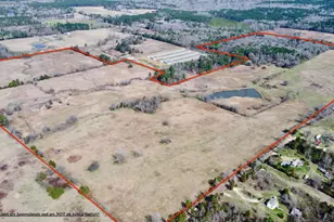 Tbd Cr 1460, Linden, TX 75563 - Photo 13