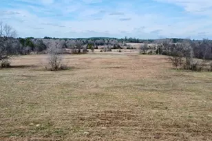 Tbd Cr 1460, Linden, TX 75563 - Photo 11