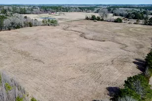 Tbd Cr 1460, Linden, TX 75563 - Photo 17