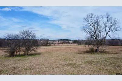 Tbd Cr 1460-1, Linden, TX 75563 - Photo 1