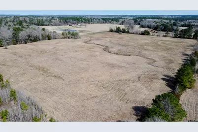 Tbd Cr 1460-1, Linden, TX 75563 - Photo 7