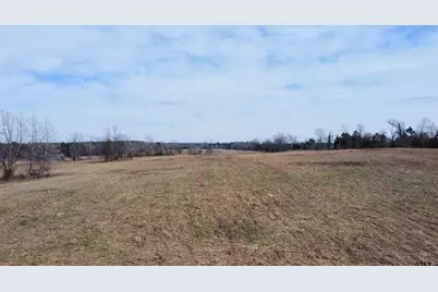 Tbd Cr 1460-1, Linden, TX 75563 - Photo 9