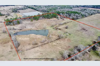 Tbd Cr 1460-2, Linden, TX 75563 - Photo 7