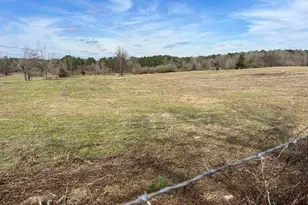 Tbd Cr 1460-2, Linden, TX 75563 - Photo 5