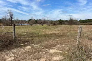 Tbd Cr 1460-2, Linden, TX 75563 - Photo 3