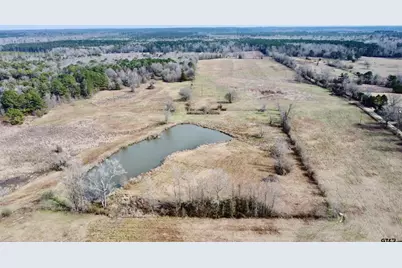 Tbd Cr 1460-2, Linden, TX 75563 - Photo 9