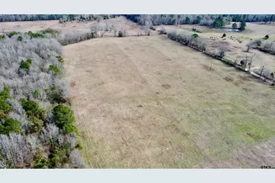 Tbd Cr 1460-3, Linden, TX 75563 - Photo 5