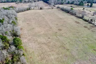 Tbd Cr 1460-3, Linden, TX 75563 - Photo 5