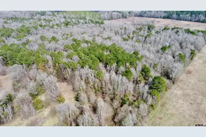 Tbd Cr 1460-3, Linden, TX 75563 - Photo 3