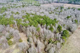 Tbd Cr 1460-3, Linden, TX 75563 - Photo 3